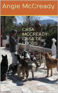 Descargar CASA MCCREADY:CASA DE LOCOS pdf, epub, ebook