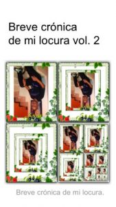 Descargar Breve crónica de mi locura vol 2 pdf, epub, ebook