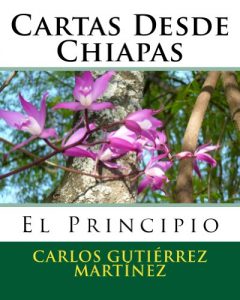 Descargar Cartas Desde Chiapas pdf, epub, ebook
