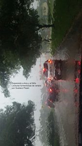 Descargar Esperando a Ana y al Niño: Lecturas tormentosas de verano pdf, epub, ebook