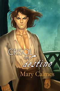 Descargar Crisol del destino (Cambio de actitud nº 4) pdf, epub, ebook