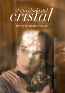 Descargar Al otro lado del cristal pdf, epub, ebook