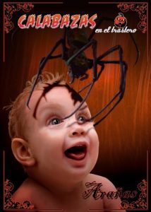 Descargar Calabazas en el Trastero: Arañas pdf, epub, ebook