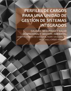 Descargar PERFILES DE CARGOS PARA UNA UNIDAD DE GESTIÓN DE SISTEMAS INTEGRADOS pdf, epub, ebook