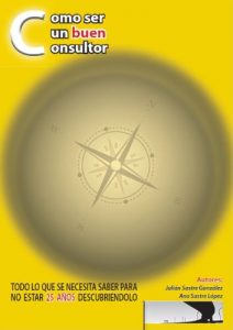 Descargar Cómo ser un buen consultor pdf, epub, ebook