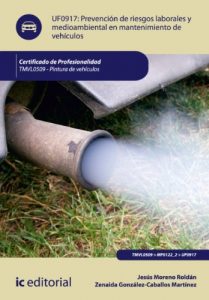 Descargar Prevención de riesgos laborales y medioambientales en mantenimiento de vehículos. TMVL0509 pdf, epub, ebook
