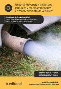 Descargar Prevención de riesgos laborales y medioambientales en mantenimiento de vehículos. TMVG0209 pdf, epub, ebook