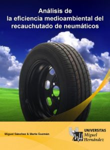 Descargar Análisis de la Eficiencia medioambiental del Recauchutado de Neumáticos pdf, epub, ebook