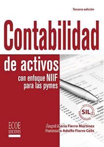 Descargar Contabilidad de activos con enfoque NIIF para las pymes pdf, epub, ebook