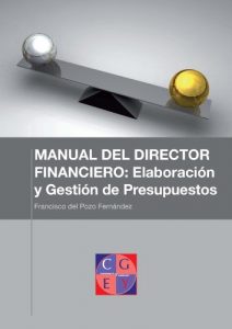 Descargar Los estados financieros. La cuenta de resultados o Pérdidas y Ganancias (MANUAL DEL DIRECTOR FINANCIERO: Elaboración y gestión de presupuestos nº 2) pdf, epub, ebook