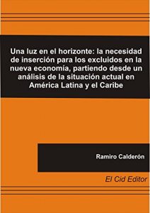 Descargar Una luz en el horizonte: la necesidad de propuestas de inserción para los excluidos en la nueva economía, partiendo desde un análisis de la situación actual en América Latina y el Caribe pdf, epub, ebook