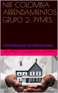 Descargar NIIF COLOMBIA ARRENDAMIENTOS GRUPO 2: PYMES: CONTABILIDAD INTERNACIONAL pdf, epub, ebook