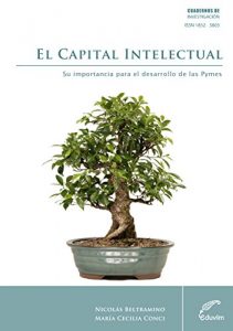 Descargar El capital intelectual. Su importancia para el desarrollo de las PyMes (Cuadernos de Investigación) pdf, epub, ebook