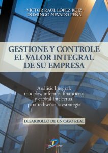 Descargar Gestione y controle el valor integral de su empresa: 1 pdf, epub, ebook