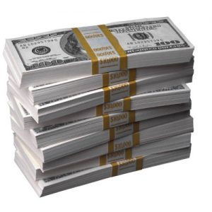 Descargar Aprenda a construir un millón de dólares un año la empresa en menos de 3 años legítimamente! pdf, epub, ebook