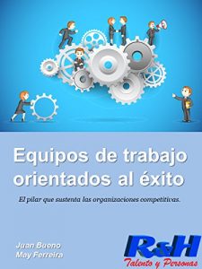 Descargar Equipos de trabajo orientados al éxito: El pilar que sustenta las organizaciones competitivas pdf, epub, ebook