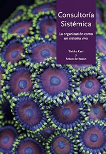 Descargar CONSULTORÍA SISTÉMICA: La organización como un sistema vivo pdf, epub, ebook