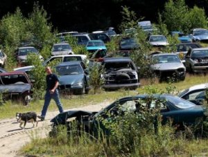 Descargar Salvamento automotriz Junk Yard al inicio muestra el plan de negocio en español! pdf, epub, ebook