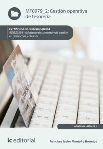 Descargar Gestión operativa de tesorería. ADGG0308 pdf, epub, ebook