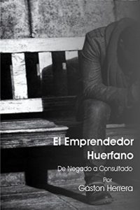 Descargar El Emprendedor Huerfano: De negado a consultado pdf, epub, ebook