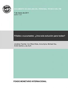 Descargar Filiales o sucursales :  ¿Un modelo de talle único? pdf, epub, ebook
