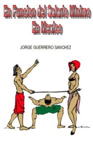 Descargar En Funcion del Salario Minimo pdf, epub, ebook