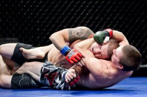 Descargar plantilla de plan de negocios para una escuela de caza de la jaula de mma en español! pdf, epub, ebook