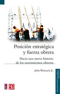 Descargar Posición estratégica y fuerza obrera. Hacia una nueva historia de los movimientos obreros (Serie Ensayos / Fideicomiso Historia de las Americas) pdf, epub, ebook