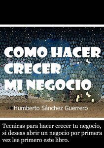 Descargar Como hacer crecer mi Negocio pdf, epub, ebook