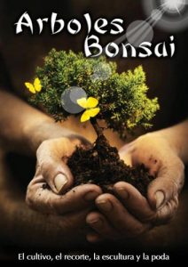 Descargar ARBOLES BONSAI pdf, epub, ebook
