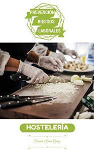 Descargar PREVENCIÓN DE RIESGOS LABORALES: HOSTELERÍA pdf, epub, ebook