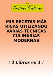 Descargar Mis recetas mas ricas utilizando varias tecnicas culinarias modernas pdf, epub, ebook
