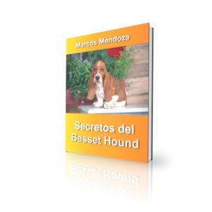 Descargar Secretos del Basset Hound – Cómo Educar y Adiestrar a un Basset Hound pdf, epub, ebook