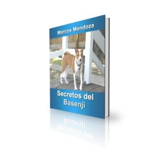 Descargar Secretos del Basenji – Cómo Educar y Adiestrar a un Basenji pdf, epub, ebook