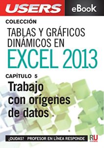 Descargar Tablas y gráficos dinámicos en Excel 2013: Trabajo con orígenes de datos (Colección Tablas y gráficos dinámicos en Excel 2013 nº 5) pdf, epub, ebook