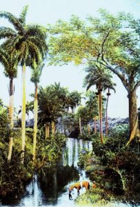Descargar DIMELO, PERO EN CUBANO pdf, epub, ebook