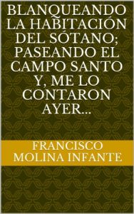 Descargar BLANQUEANDO LA HABITACIÓN DEL SÓTANO; PASEANDO EL CAMPO SANTO Y, ME LO CONTARON AYER… (RELATOS CORTOS DE OBSERVACIONES REALES… nº 3) pdf, epub, ebook