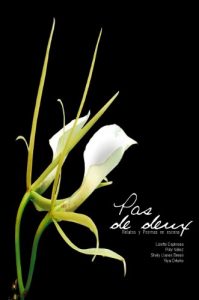 Descargar Pas de Deux: Relatos y Poemas en escena pdf, epub, ebook