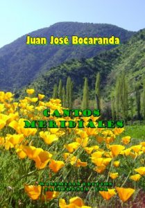 Descargar Cantos Meridiales (Spanish Edition) pdf, epub, ebook
