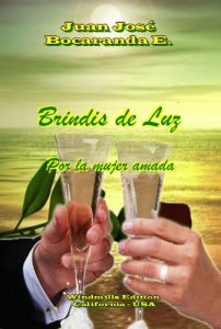 Descargar Brindis de Luz (Spanish Edition) pdf, epub, ebook