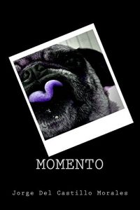 Descargar Momento pdf, epub, ebook