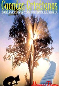 Descargar CUENTOS CRISTIANOS: QUE AYUDAN A COMPRENDER LA BIBLIA pdf, epub, ebook