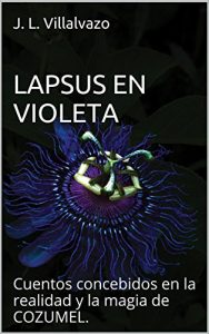 Descargar LAPSUS EN VIOLETA: Cuentos concebidos en la realidad y la magia de COZUMEL. pdf, epub, ebook