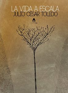 Descargar La vida a escala pdf, epub, ebook