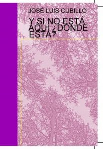 Descargar Y SI NO ESTÁ AQUÍ ¿DÓNDE ESTÁ? pdf, epub, ebook