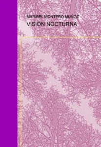 Descargar VISIÓN NOCTURNA pdf, epub, ebook