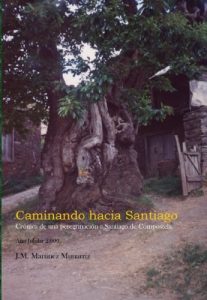 Descargar Caminando hacia Santiago pdf, epub, ebook