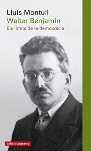 Descargar Walter Benjamin: Els límits de la democràcia (Llibres en català) pdf, epub, ebook
