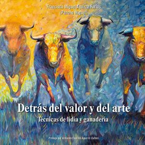 Descargar Detrás del valor y del arte pdf, epub, ebook