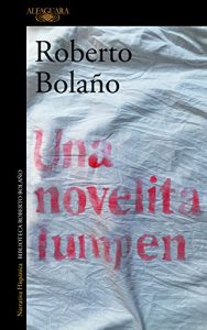 Descargar Una novelita lumpen pdf, epub, ebook